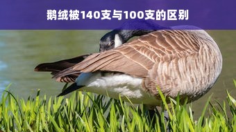 鹅绒被140支与100支的区别