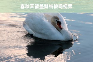 春秋天能盖鹅绒被吗视频