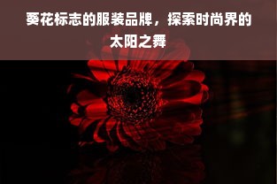 葵花标志的服装品牌，探索时尚界的太阳之舞