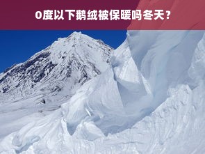 0度以下鹅绒被保暖吗冬天？