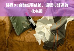 臻品95白鹅绒羽绒被，温暖与舒适的代名词