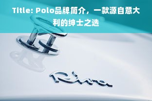 Title: Polo品牌简介，一款源自意大利的绅士之选