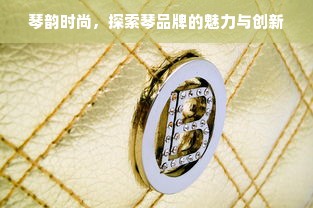 琴韵时尚，探索琴品牌的魅力与创新