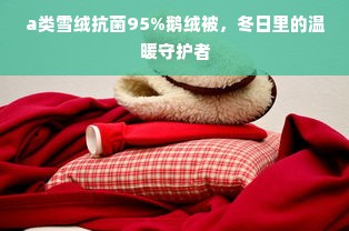 a类雪绒抗菌95%鹅绒被，冬日里的温暖守护者