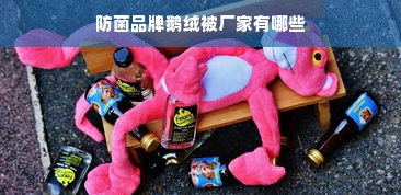 防菌品牌鹅绒被厂家有哪些