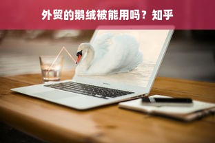 外贸的鹅绒被能用吗？知乎