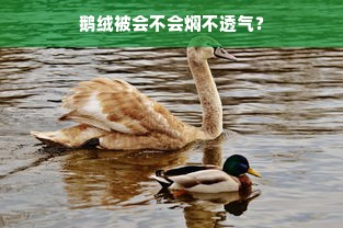 鹅绒被会不会焖不透气？