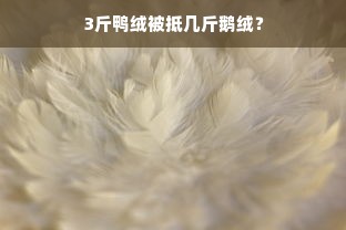 3斤鸭绒被抵几斤鹅绒？