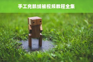 手工充鹅绒被视频教程全集