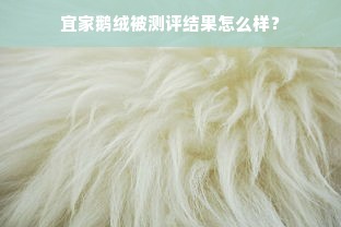 宜家鹅绒被测评结果怎么样？