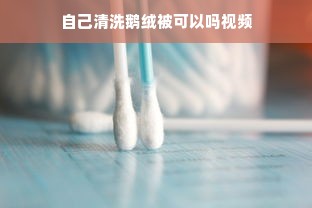 自己清洗鹅绒被可以吗视频