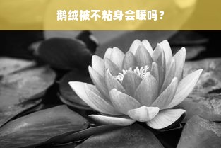 鹅绒被不粘身会暖吗？