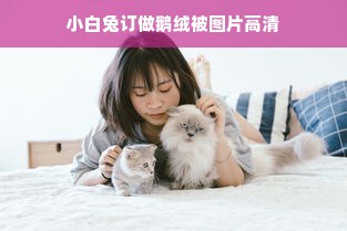 小白兔订做鹅绒被图片高清