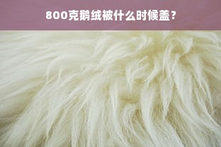 800克鹅绒被什么时候盖？