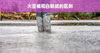 大豆被和白鹅绒的区别