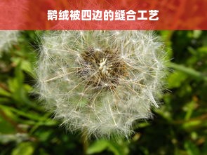 鹅绒被四边的缝合工艺