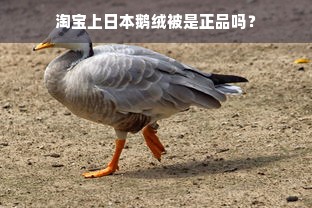 淘宝上日本鹅绒被是正品吗？