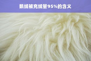 鹅绒被充绒量95%的含义