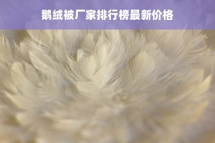 鹅绒被厂家排行榜最新价格