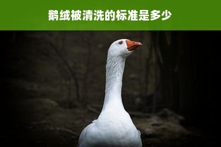 探索马球运动与时尚界的完美结合——骑马打球的服装品牌之韵