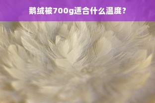 鹅绒被700g适合什么温度？