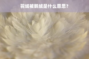 羽绒被鹅绒是什么意思？