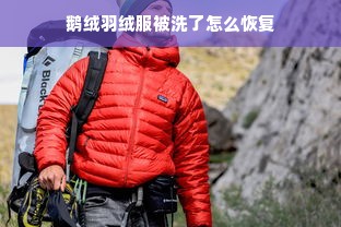 鹅绒羽绒服被洗了怎么恢复