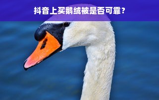 抖音上买鹅绒被是否可靠？