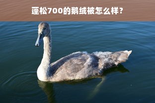 蓬松700的鹅绒被怎么样？