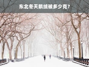 东北冬天鹅绒被多少克？