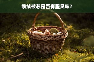 鹅绒被芯是否有腥臭味？