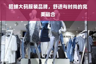 貂蝉大码服装品牌，舒适与时尚的完美融合