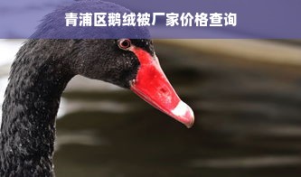 青浦区鹅绒被厂家价格查询