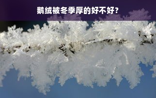 鹅绒被冬季厚的好不好？