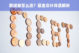 鹅绒被怎么选？基金会计待遇解析