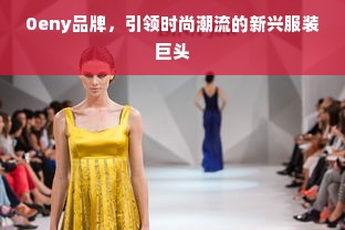 0eny品牌，引领时尚潮流的新兴服装巨头