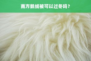 南方鹅绒被可以过冬吗？