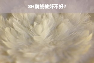 8H鹅绒被好不好？