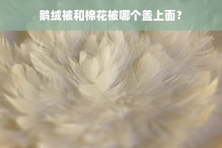 鹅绒被和棉花被哪个盖上面？