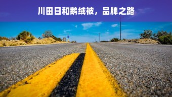 川田日和鹅绒被，品牌之路