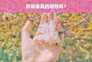 鹅绒被真的很热吗？