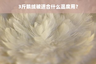 3斤鹅绒被适合什么温度用？