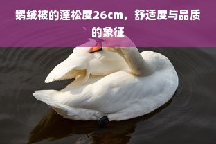 鹅绒被的蓬松度26cm，舒适度与品质的象征