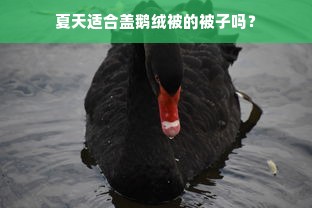 夏天适合盖鹅绒被的被子吗？