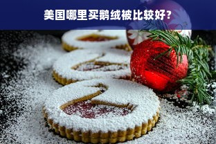 美国哪里买鹅绒被比较好？