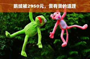 鹅绒被2950元，贵有贵的道理