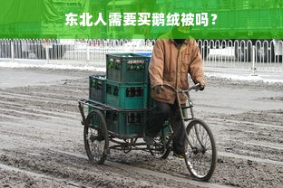 东北人需要买鹅绒被吗？