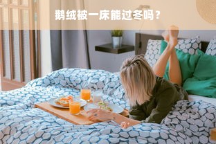 鹅绒被一床能过冬吗？