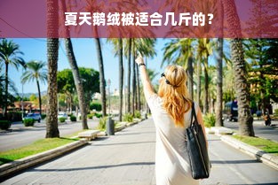 夏天鹅绒被适合几斤的？