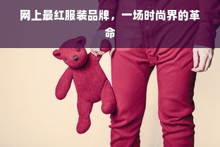 网上最红服装品牌，一场时尚界的革命